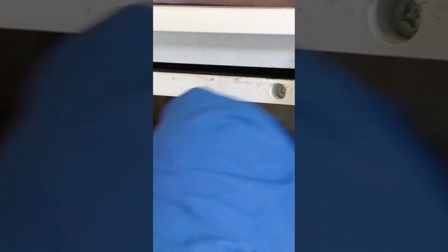 Как почистить место для лотка стиральной машины! #стиральная #машина #стирала #какотмыть смотреть онлайн