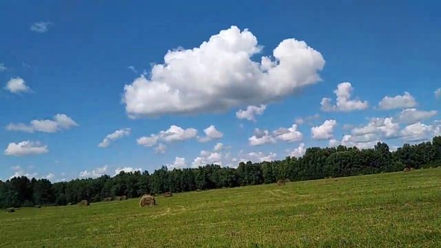 Сериал в лесу🤗 грибы 👍ягода👍природа👍(3) смотреть онлайн