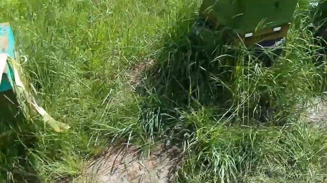 НЕ ОБЫЧНАЯ Р Е В И З И Я / РАСШИРЕНИЕ ПАСЕКИ смотреть онлайн