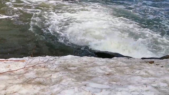 Уж тает снег, бегут ручью... а мы гуляем в парке у Борисовских прудов!) смотреть онлайн