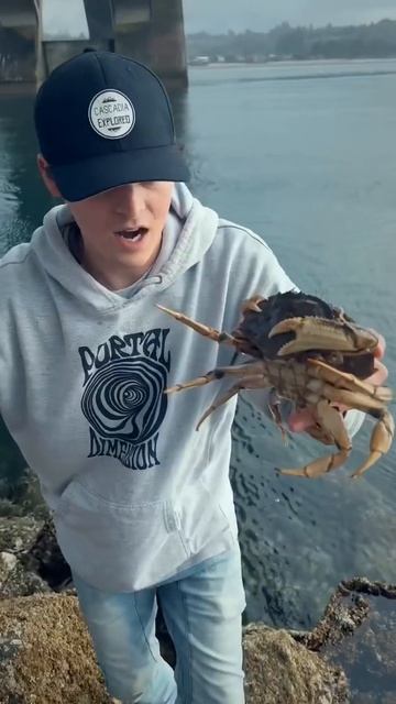 Big CRAB is Going to EAT BABY Crab #shorts смотреть онлайн