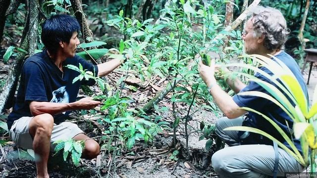Graham Hancock: Shamanism and Civilization | Presentation at Glastonbury Festival 2024 смотреть онлайн