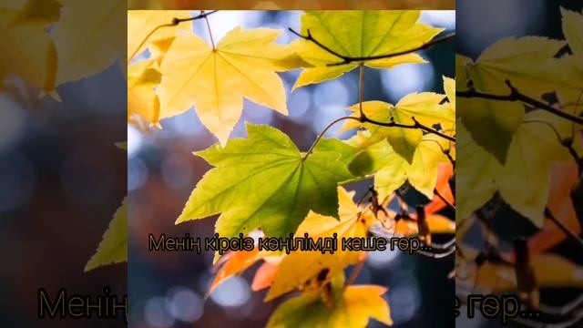 Күздің жүгі.  Поэзия әлемі.  @N11.90 #күз #күзтуралыөлең #поэзия #Қызылорда