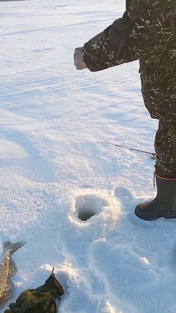 Бац бац! смотреть онлайн