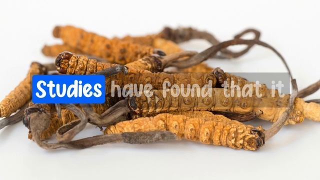 Top 10 Medicinal Mushrooms: Unleashing Nature's Healing Power