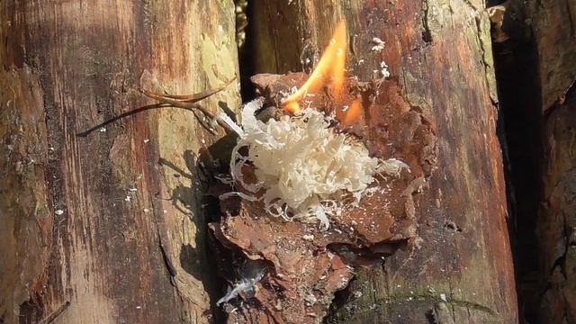 Одиночный поход .Бушкрафт.Куриный шашлык.Solo Trip To The Forest.Bushcraft.Chicken Skewer/