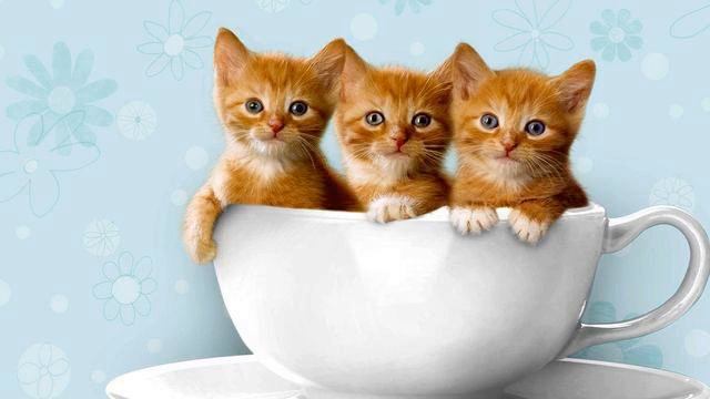 Самый лучший медляк 2014. Настоящий хит! Это стоит посл... смотреть онлайн