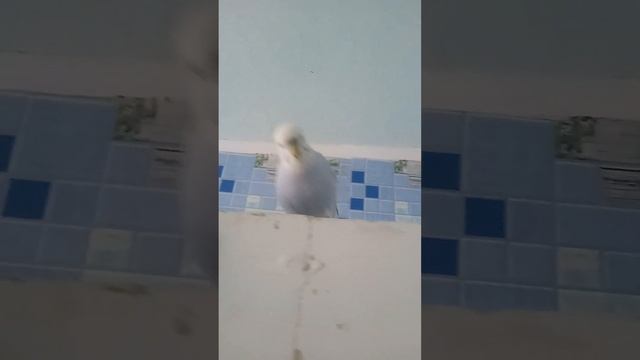 7 октября 2022 г. смотреть онлайн