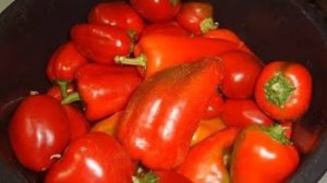 Салат из перца с капустой. Маринкины творинки. Всем МИРА и Добра!