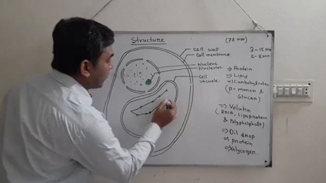 Botany-1 (Non-Major) | Lecture 11 | Saccharomyces (YEAST)