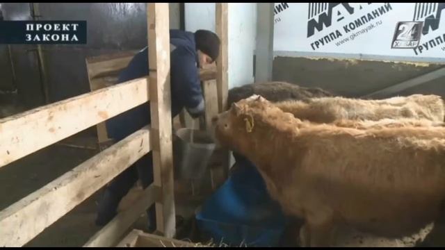 Проект закона. О госпрограмме агропромышленного комплекса смотреть онлайн