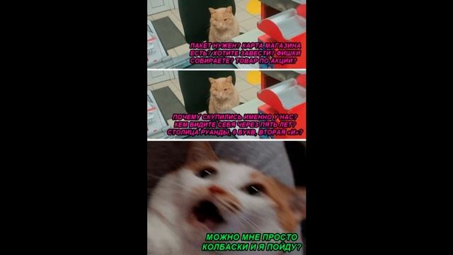 САМЫЙ КОРОТКИЙ МЕМ/ЧАСТЬ 9 смотреть онлайн