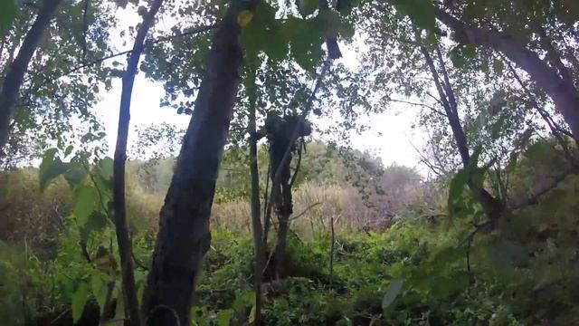 Поход (По следам Чупакабры)