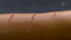 Реклама Сосиски Папа может - "Это наша еда"