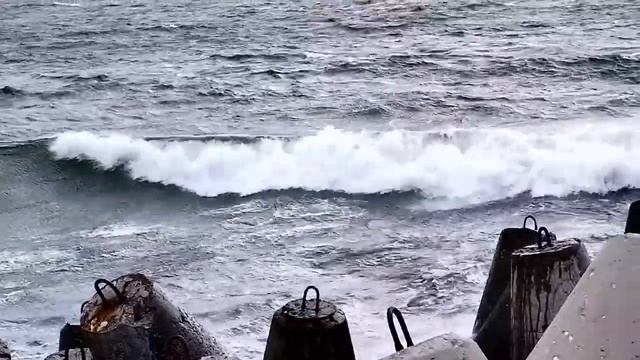 Ветер на Южном моле смотреть онлайн