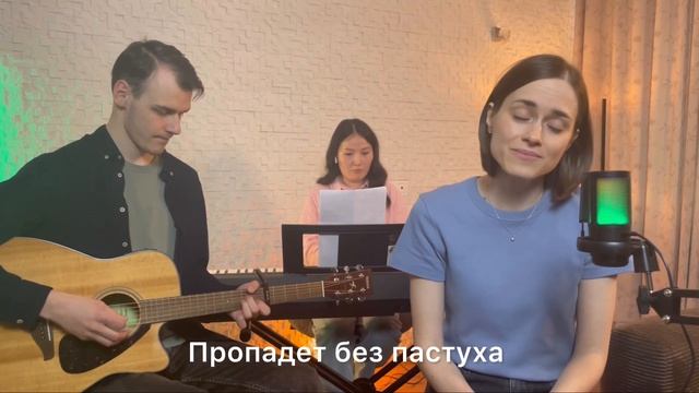 Белые кирпичики – Овечка и Пастух | Акустика смотреть онлайн