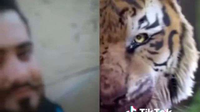 Ali ehsan video смотреть онлайн