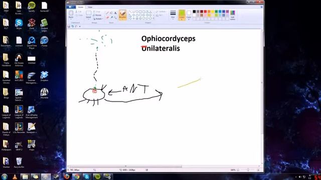 MSPS -Ophiocordyceps unilateralis- смотреть онлайн