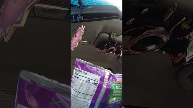 99cent car haul for Thursday. смотреть онлайн