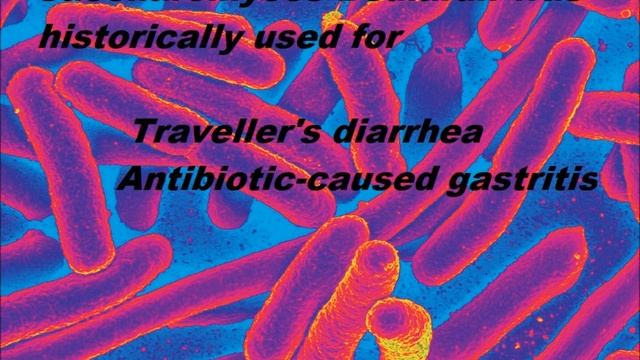 Saccharomyces Boulardii смотреть онлайн