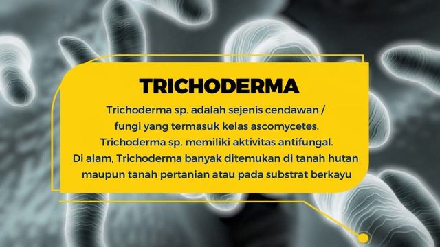 #trichoderma #layufusarium смотреть онлайн