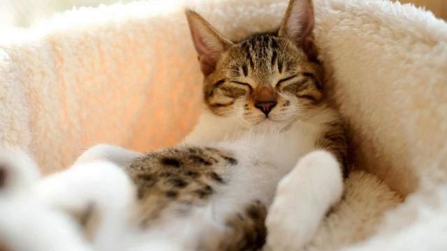 Новая клубная музыка. Просто класс! Как же девушка... смотреть онлайн