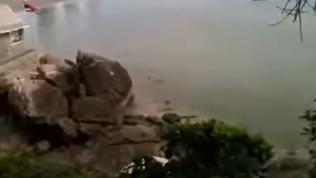 Обезьяны прыгают со скалы в море Таиланд смотреть онлайн