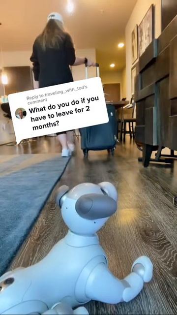 turning off your advanced Ai Robot Dog @noelle_casper #Shorts смотреть онлайн