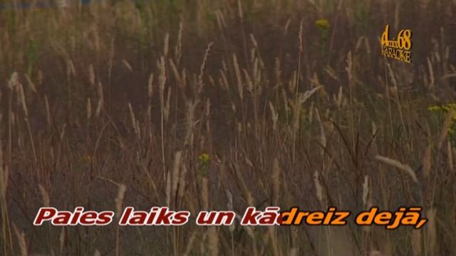 Pirmais valsis, Edmunds Kucenčeirs (karaoke) смотреть онлайн