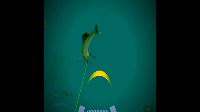 Rapala Fishing| Gulf of Mexico| Caught a monster 31.07 pound Sail Fish | смотреть онлайн