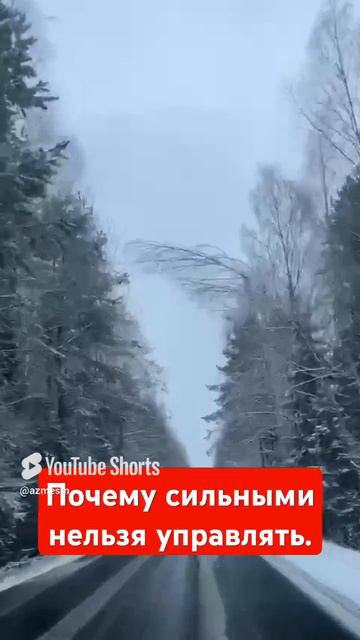 00002 смотреть онлайн