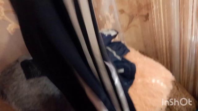 Блог. Все зразу/ Мої обновки/ Порядкую гриби смотреть онлайн