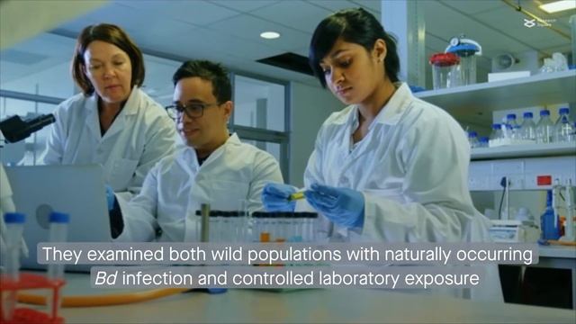 Microbiome Function Predicts Amphibian Chytridiomycosis Disease Dynamics