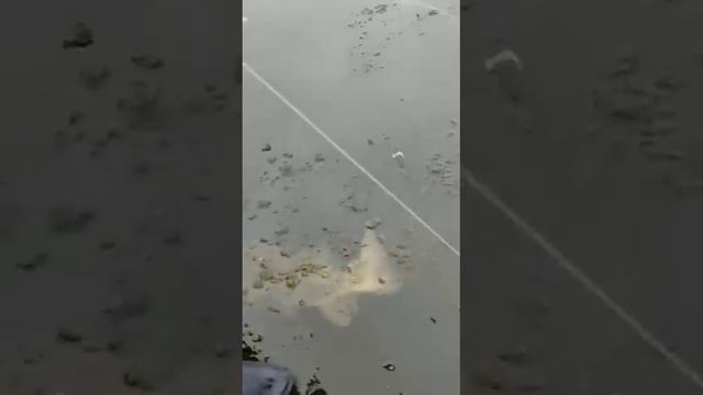 Подлëдная рыбалка на ЩУКУ,ну и кобыла 😳😳😳😳😳 смотреть онлайн