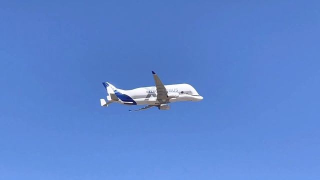 Airbus beluga #airbus #beluga #aviation #aviationlovers #aircraft #plane смотреть онлайн