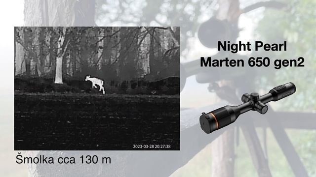 Night Pearl Marten 650 gen2 (thermal scope video recordings) смотреть онлайн