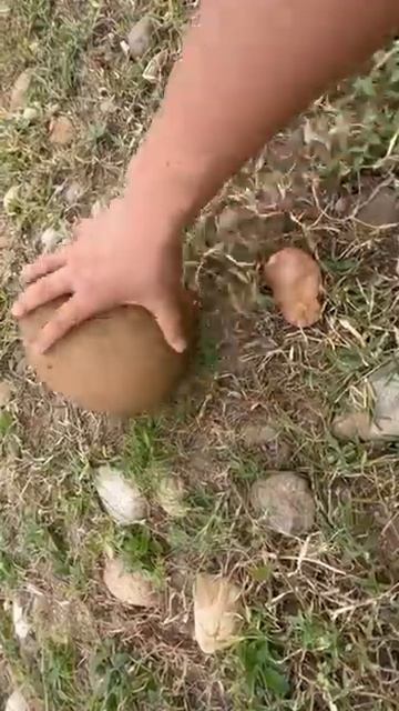 video 2022 09 10 19 13 26 смотреть онлайн