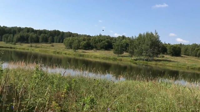 Как мы за грибами ездили.2023.