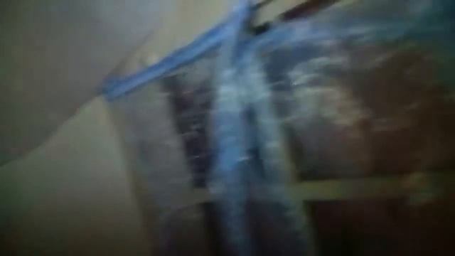 дом или детский сад смотреть онлайн