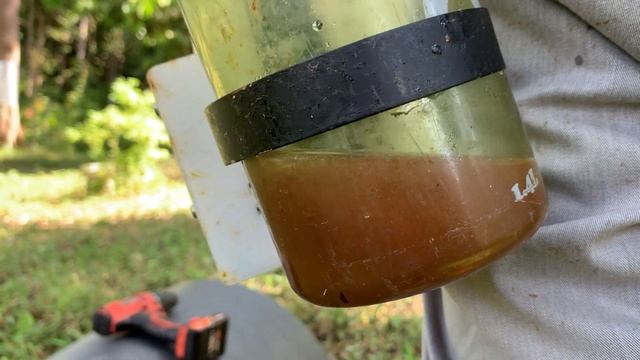 Ep.49| Panen Madu Kelulut + TERBESAR di Asia Tenggara + Thoracica + BIGGEST Stingless Bee смотреть онлайн