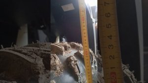 линхай 550 и 650 сравнение