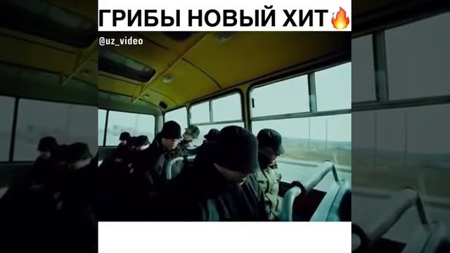 👉Грибы👈 Между нами тает лёд✴✴✴