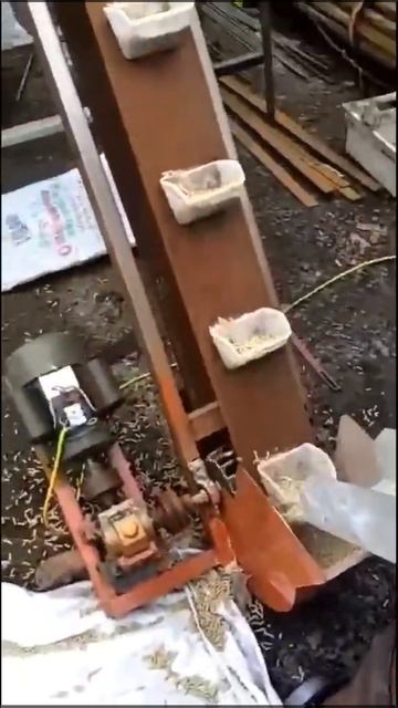 Простой, удобный, с большим выходом, корм для кур, корм для свиней смотреть онлайн