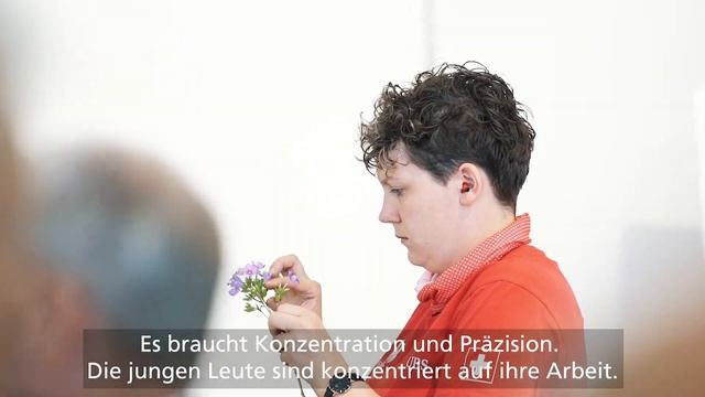 Der Besuch von BR Guy Parmelin смотреть онлайн