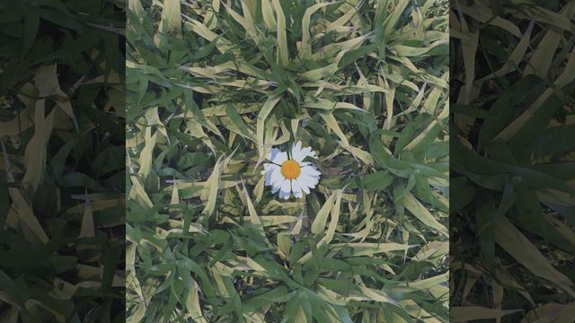 Всего хорошего смотреть онлайн