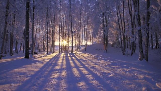 Peaceful relaxing music & beautiful scenery - Nhạc thư giãn và cảnh đẹp смотреть онлайн