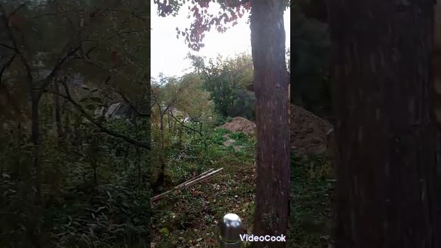 Абиссинка не получилась. Разведка в Чишминском районе