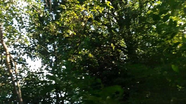 Автор - видео Юрий Долгов * Назвався грибом полiзай в кошик * )) смотреть онлайн