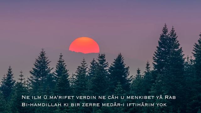 Muhammed Es'ad ERBİLÎ I Senin Aşkında смотреть онлайн