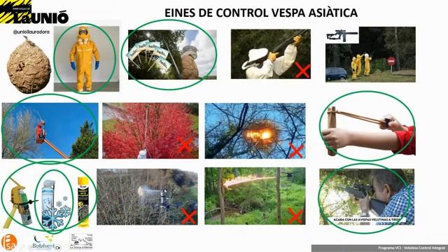 LA UNIÓ WEBINAR: "Control Integrat de la Vespa Asiàtica" смотреть онлайн